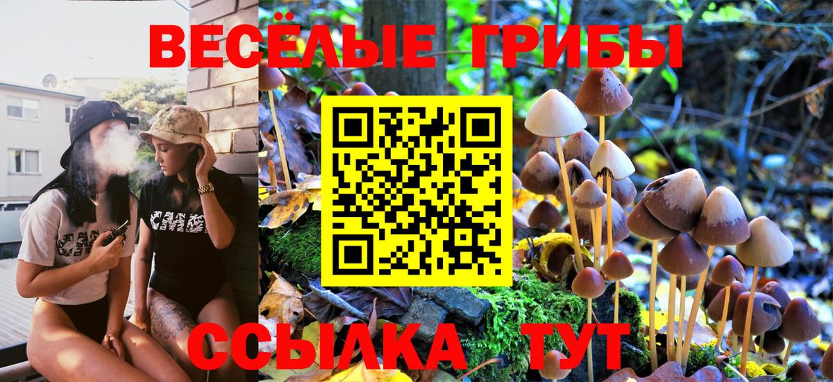 Псилоцибиновые грибы Magic Shrooms Гудермес