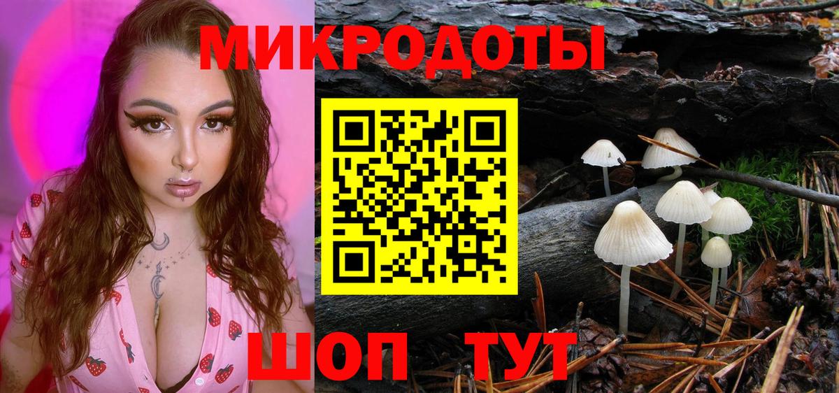 Галлюциногенные грибы прущие грибы  Вход с VPN  сколько стоит  Гудермес  Галлюциногенные грибы GOLDEN TEACHER 