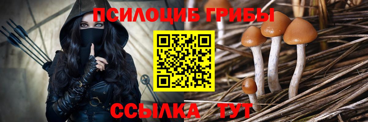Экстази  Бошки Шишки  Вход с VPN  МЕТ  Гудермес  МДМА  Меф МЯУ МЯУ   ГАШ 